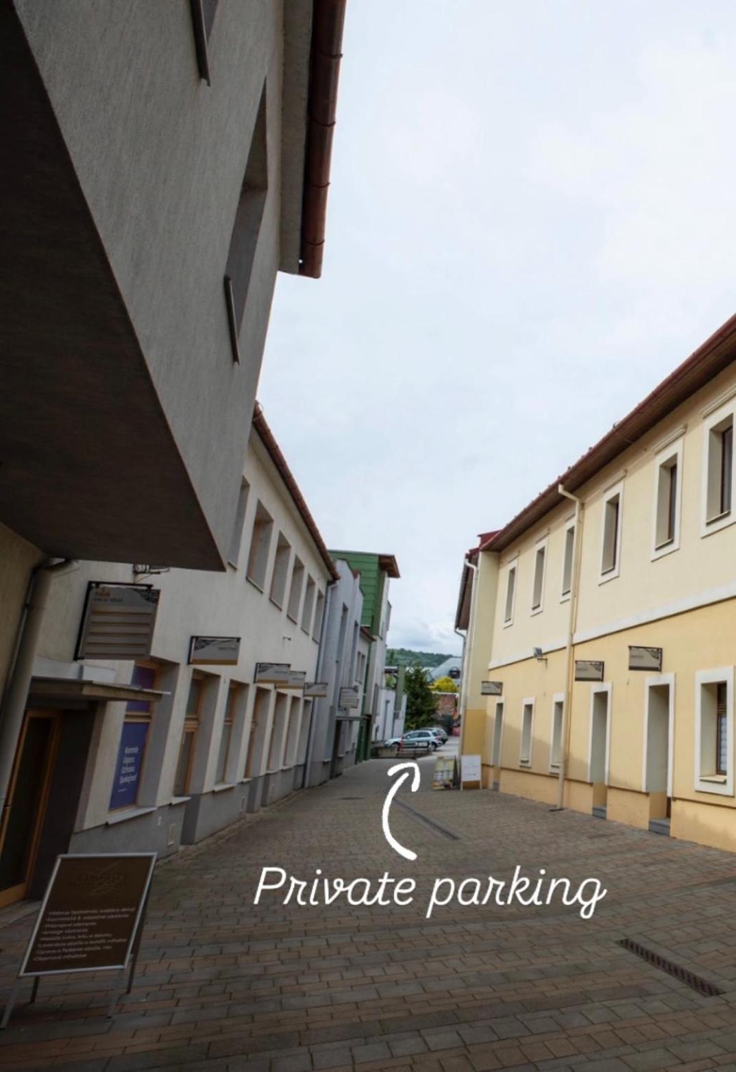 Alure Residences 10 - 24H Self Check-In & Private Parking Next To The Apartment Building Included, City Center Right On Snp Square In A Quiet Passage, New Building, Best Deal In Town Banská Bystrica Extérieur photo